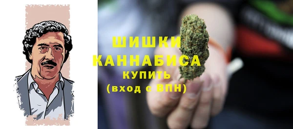 мдпв Волосово